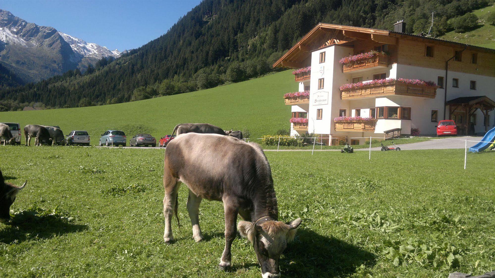 Hotel Alfaierhof-Bergheimat Gschnitz Esterno foto