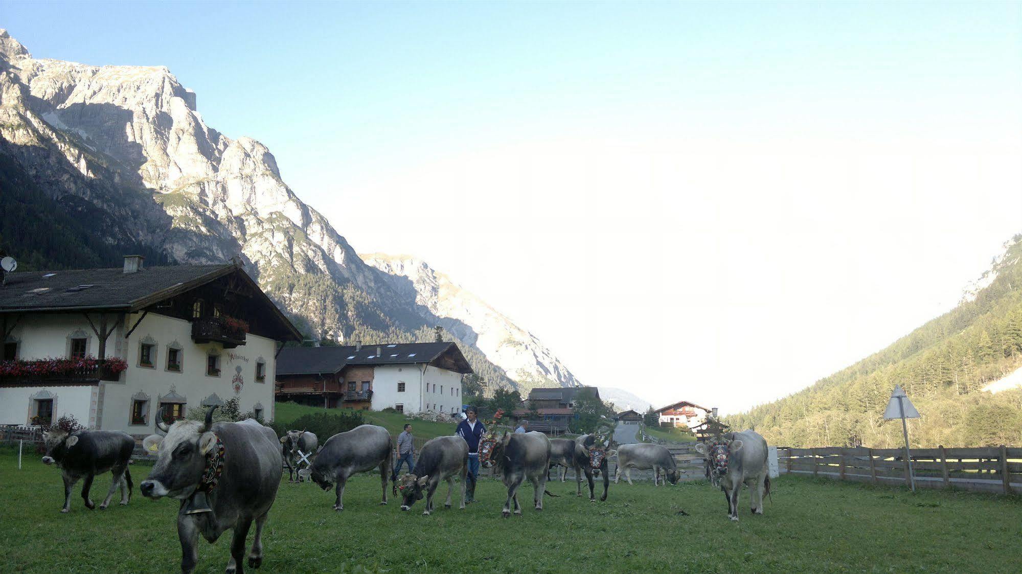 Hotel Alfaierhof-Bergheimat Gschnitz Esterno foto