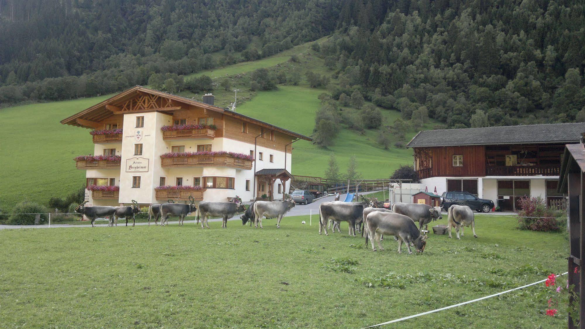 Hotel Alfaierhof-Bergheimat Gschnitz Esterno foto